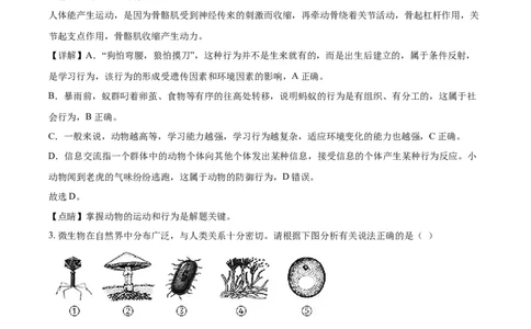 精品解析：内蒙古呼和浩特市2021年会考生物试题（解析版）_中考真题_8.生物中考真题2015-2024年_2021中考生物真题64份_2021内蒙古_精品解析：内蒙古呼和浩特市2021年会考生物试题
