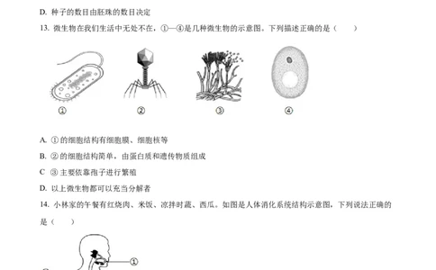 精品解析：2024年四川省广安市中考生物真题（原卷版）_中考真题_8.生物中考真题2015-2024年_2024年中考生物真题_精品解析：2024年四川省广安市中考生物真题