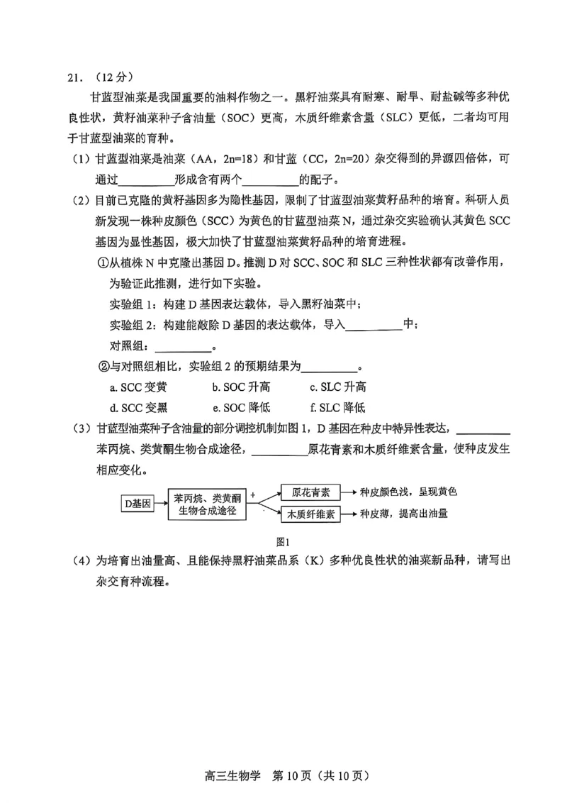 2025北京丰台高三一模生物试题及答案_2025年3月_2503312025届北京市丰台区高三一模第二学期综合练习(一)（全科）
