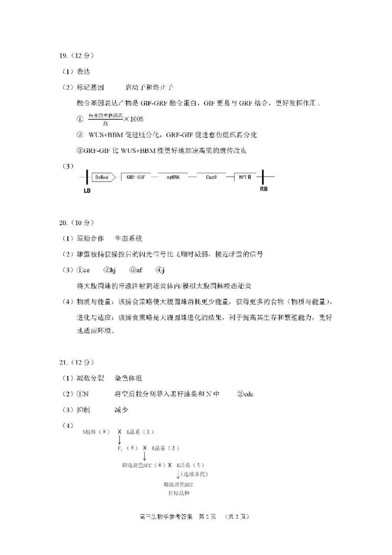 2025北京丰台高三一模生物试题及答案_2025年3月_2503312025届北京市丰台区高三一模第二学期综合练习(一)（全科）
