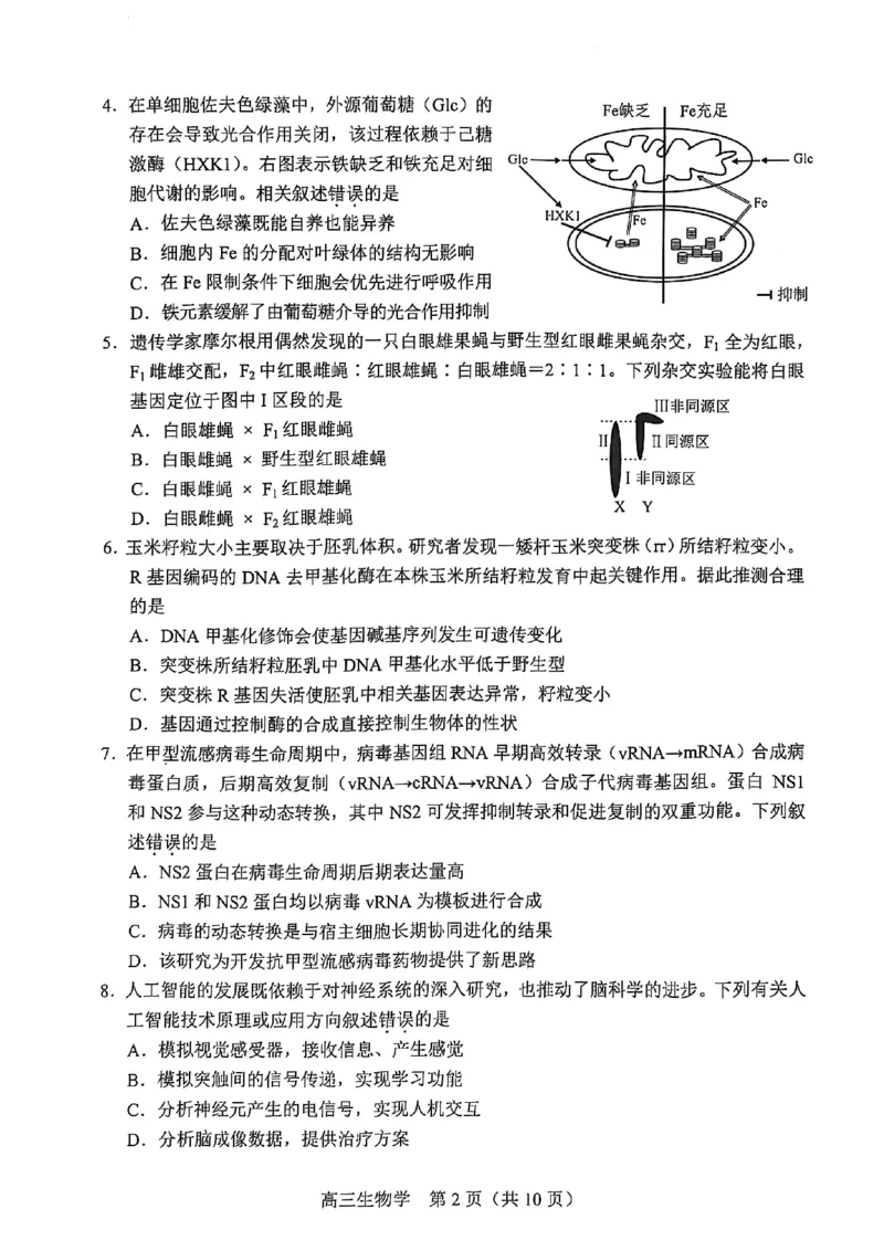 2025北京丰台高三一模生物试题及答案_2025年3月_2503312025届北京市丰台区高三一模第二学期综合练习(一)（全科）