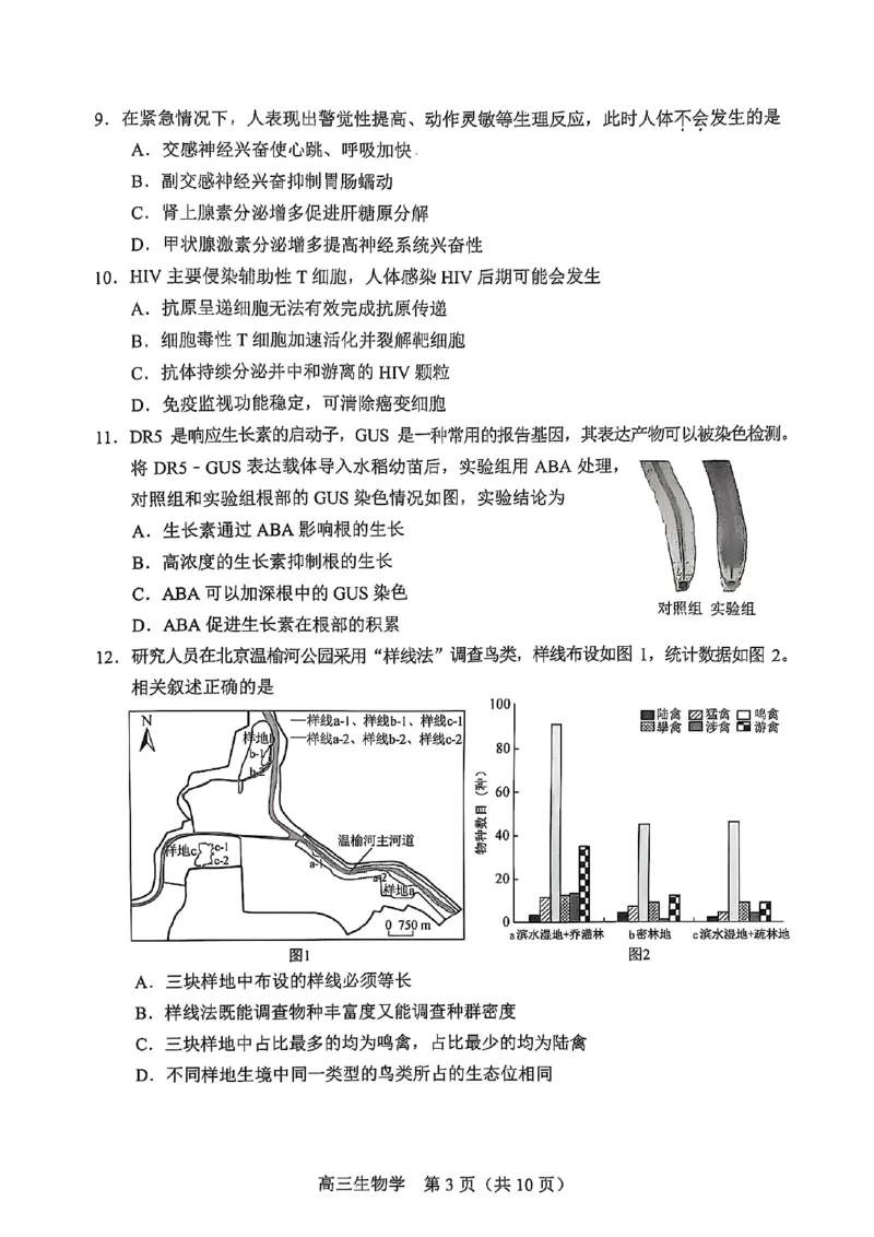 2025北京丰台高三一模生物试题及答案_2025年3月_2503312025届北京市丰台区高三一模第二学期综合练习(一)（全科）