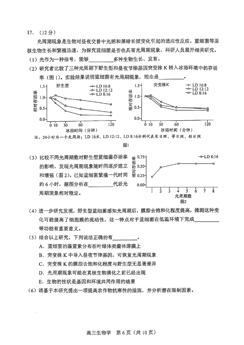 2025北京丰台高三一模生物试题及答案_2025年3月_2503312025届北京市丰台区高三一模第二学期综合练习(一)（全科）