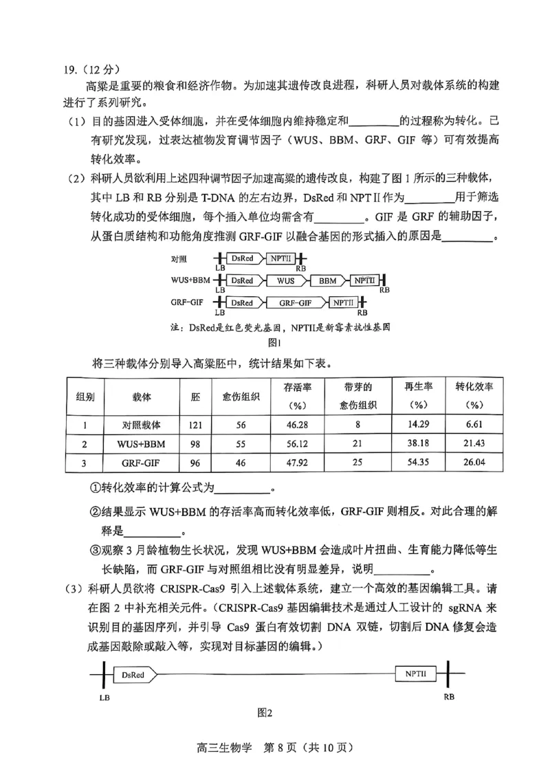 2025北京丰台高三一模生物试题及答案_2025年3月_2503312025届北京市丰台区高三一模第二学期综合练习(一)（全科）