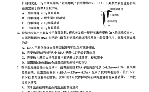 2025北京丰台高三一模生物试题及答案_2025年3月_2503312025届北京市丰台区高三一模第二学期综合练习(一)（全科）
