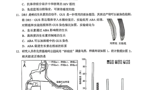 2025北京丰台高三一模生物试题及答案_2025年3月_2503312025届北京市丰台区高三一模第二学期综合练习(一)（全科）