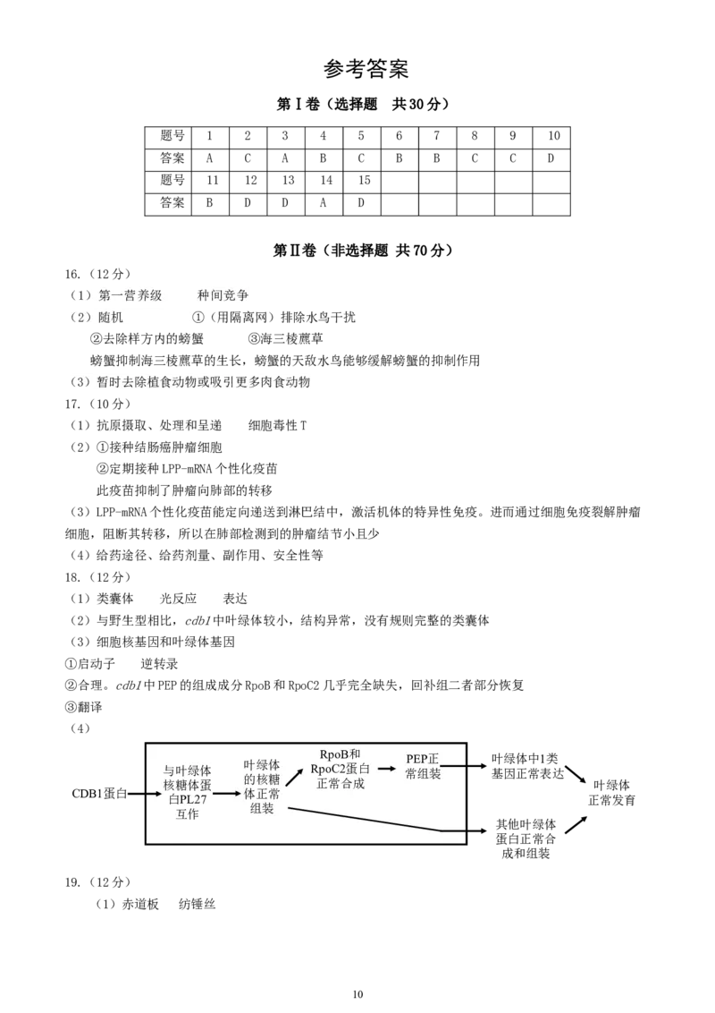 北京市丰台区2024-2025学年高三上学期期末考试生物试卷（含答案）_2025年1月_250112北京市丰台区2024-2025学年高三上学期期末考试