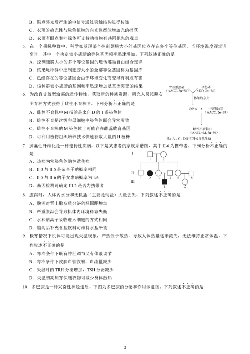 北京市丰台区2024-2025学年高三上学期期末考试生物试卷（含答案）_2025年1月_250112北京市丰台区2024-2025学年高三上学期期末考试