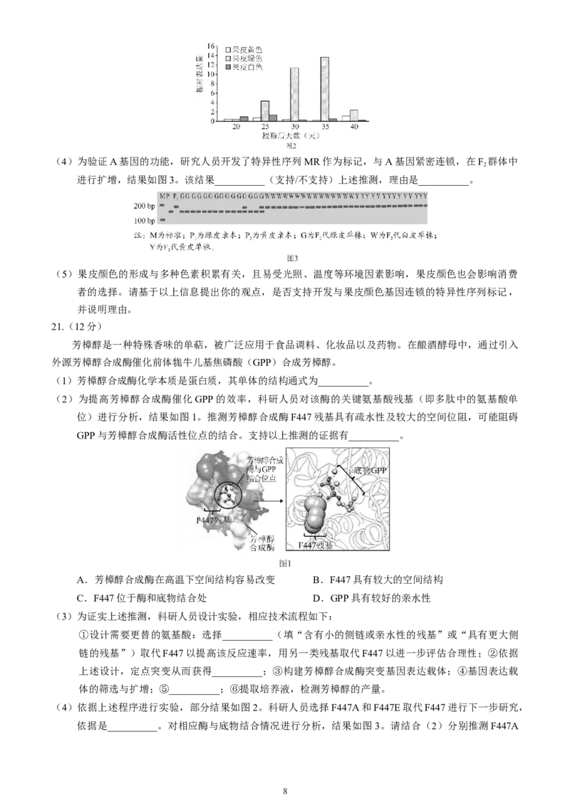 北京市丰台区2024-2025学年高三上学期期末考试生物试卷（含答案）_2025年1月_250112北京市丰台区2024-2025学年高三上学期期末考试