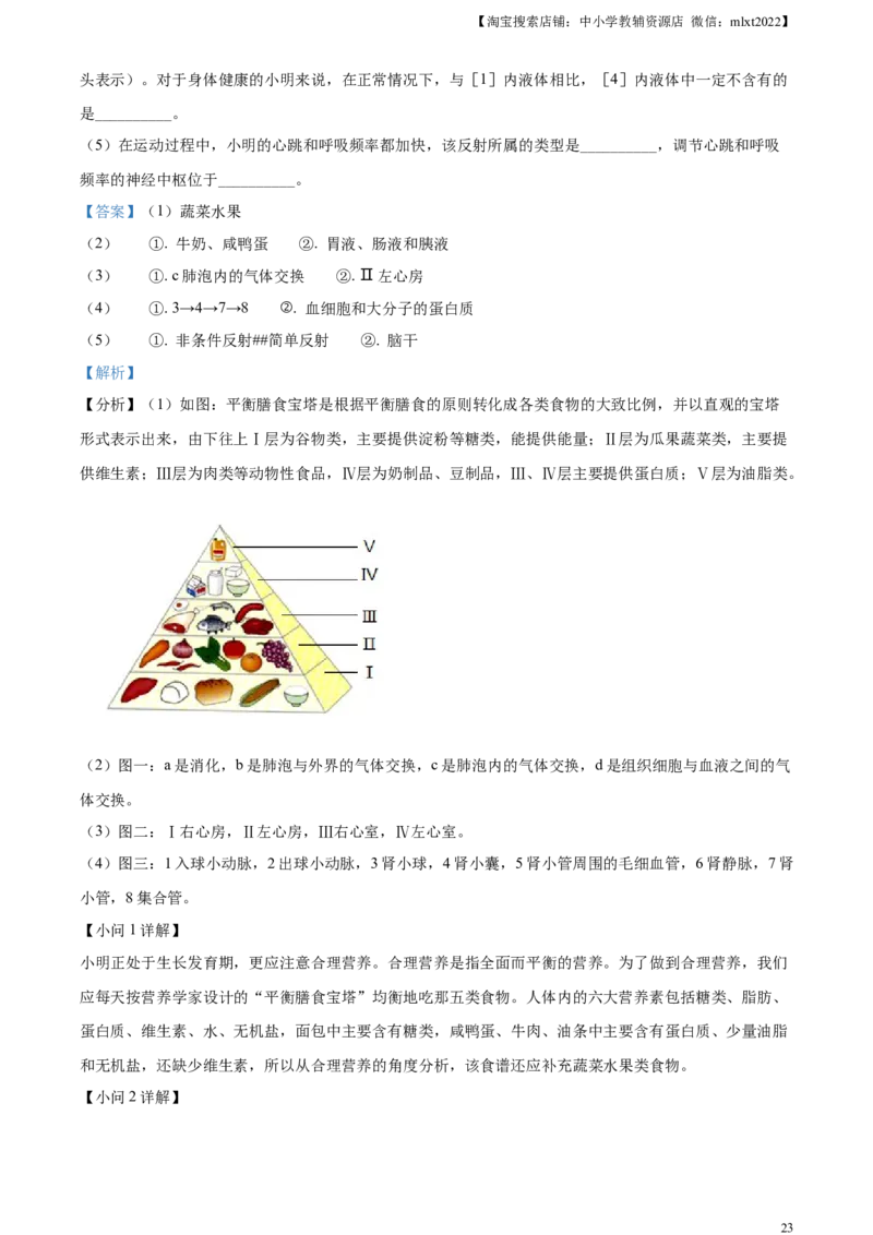 精品解析：2024年山东省滨州市中考生物真题（解析版）_中考真题_8.生物中考真题2015-2024年_2024年中考生物真题_精品解析：2024年山东省滨州市中考生物真题