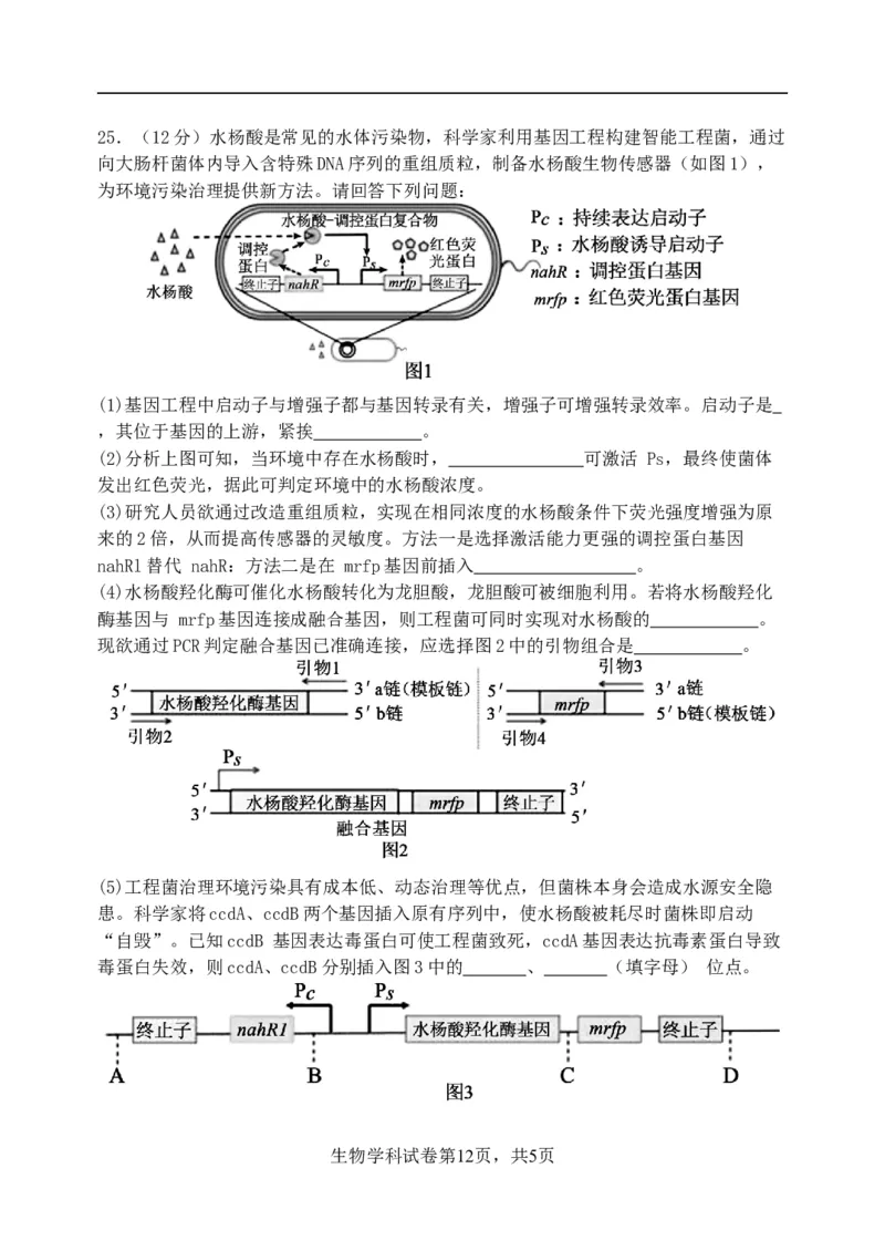 东北育才学校2025-2026学年高三上学期第一次模拟生物_2025年9月_250907辽宁省沈阳市东北育才学校2025-2026学年高三上学期第一次模拟考试（全科）