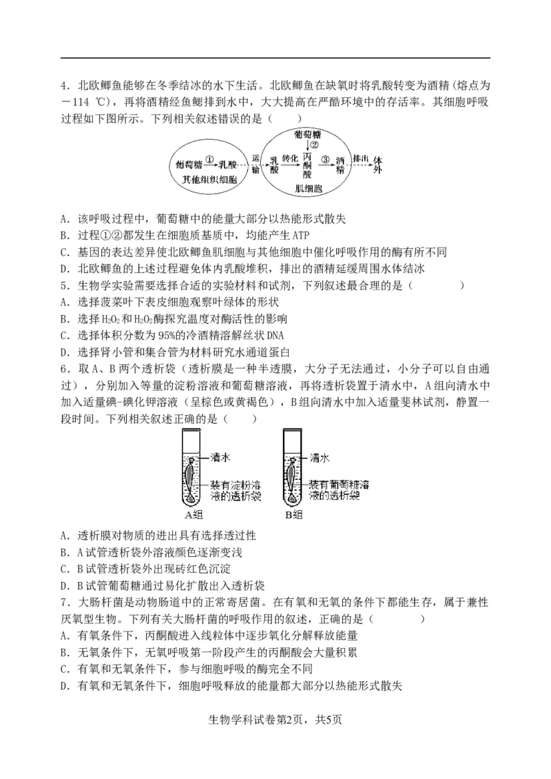东北育才学校2025-2026学年高三上学期第一次模拟生物_2025年9月_250907辽宁省沈阳市东北育才学校2025-2026学年高三上学期第一次模拟考试（全科）