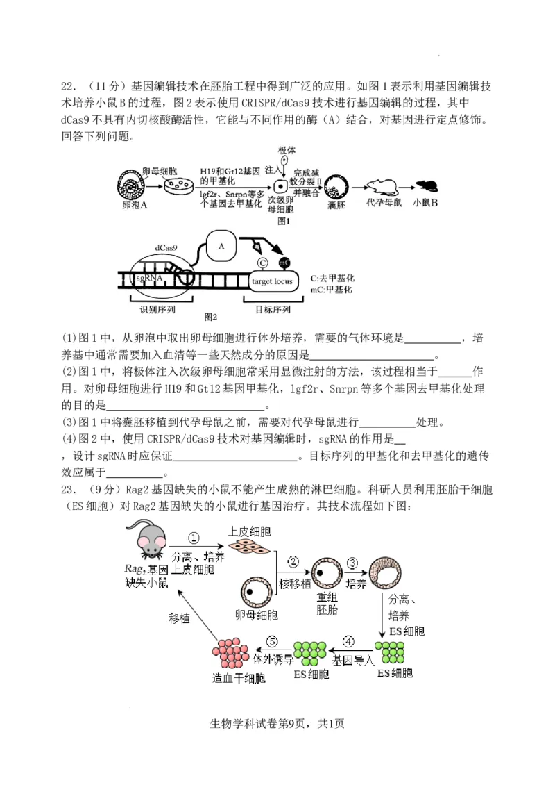 东北育才学校2025-2026学年高三上学期第一次模拟生物_2025年9月_250907辽宁省沈阳市东北育才学校2025-2026学年高三上学期第一次模拟考试（全科）