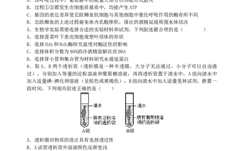 东北育才学校2025-2026学年高三上学期第一次模拟生物_2025年9月_250907辽宁省沈阳市东北育才学校2025-2026学年高三上学期第一次模拟考试（全科）