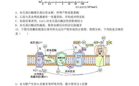 东北育才学校2025-2026学年高三上学期第一次模拟生物_2025年9月_250907辽宁省沈阳市东北育才学校2025-2026学年高三上学期第一次模拟考试（全科）
