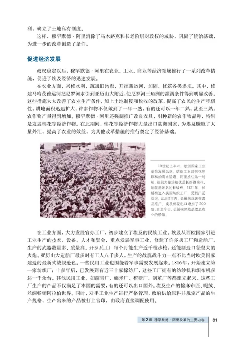 高中历史选修1历史上重大改革回眸_4-教培资料-26年最新资料-同步更新_初中高中教资_03科三专项（进去保存报考的学科即可）_02科三专项（笔记真题思维导图教学设计版本二）