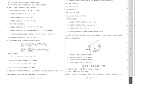 高一化学上学期第一次月考（新高考通用，154）高一化学第一次月考卷（考试版A3）_1多考区联考试卷_2510092025-2026学年高一化学上学期第一次月考