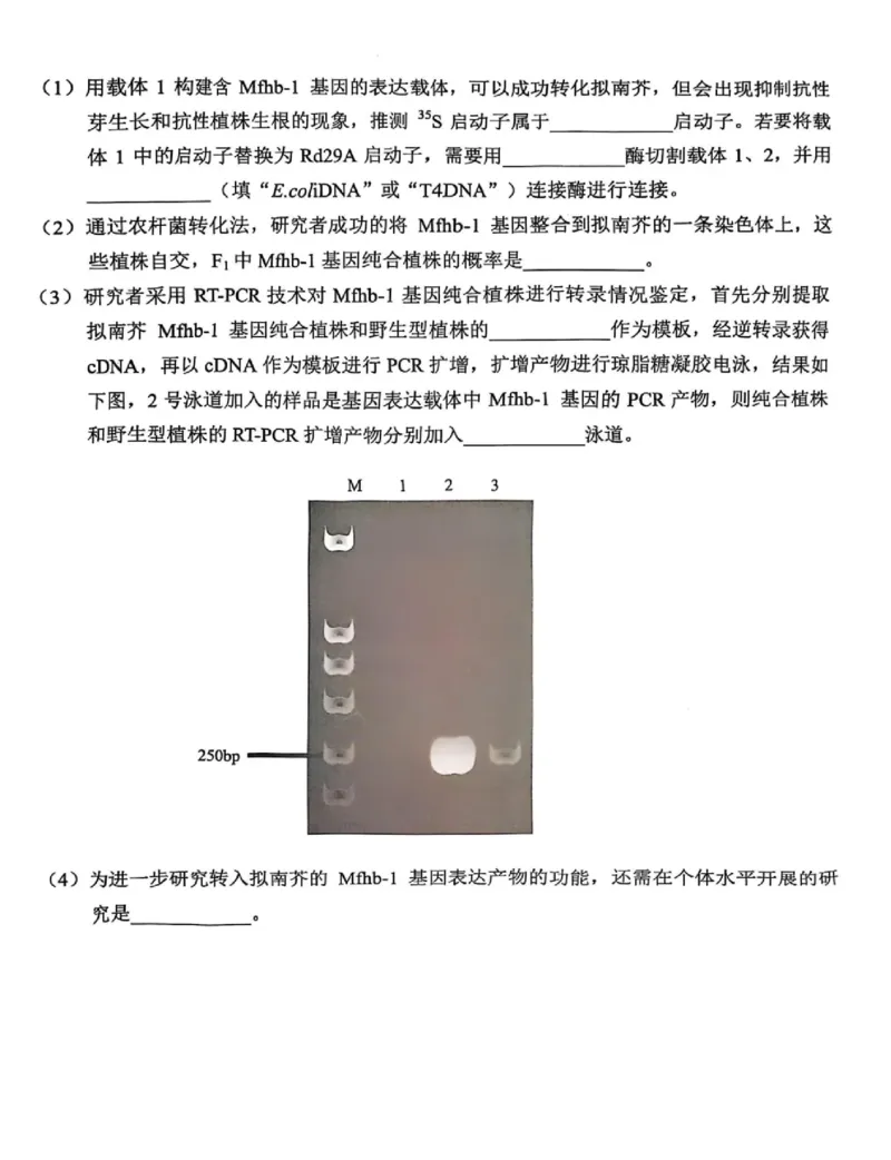云南省昆明市2025届高三&ldquo;三诊一模&rdquo;摸底诊断测试生物_2025年1月_250123云南省昆明市2025届高三&ldquo;三诊一模&rdquo;摸底诊断测试（全科）