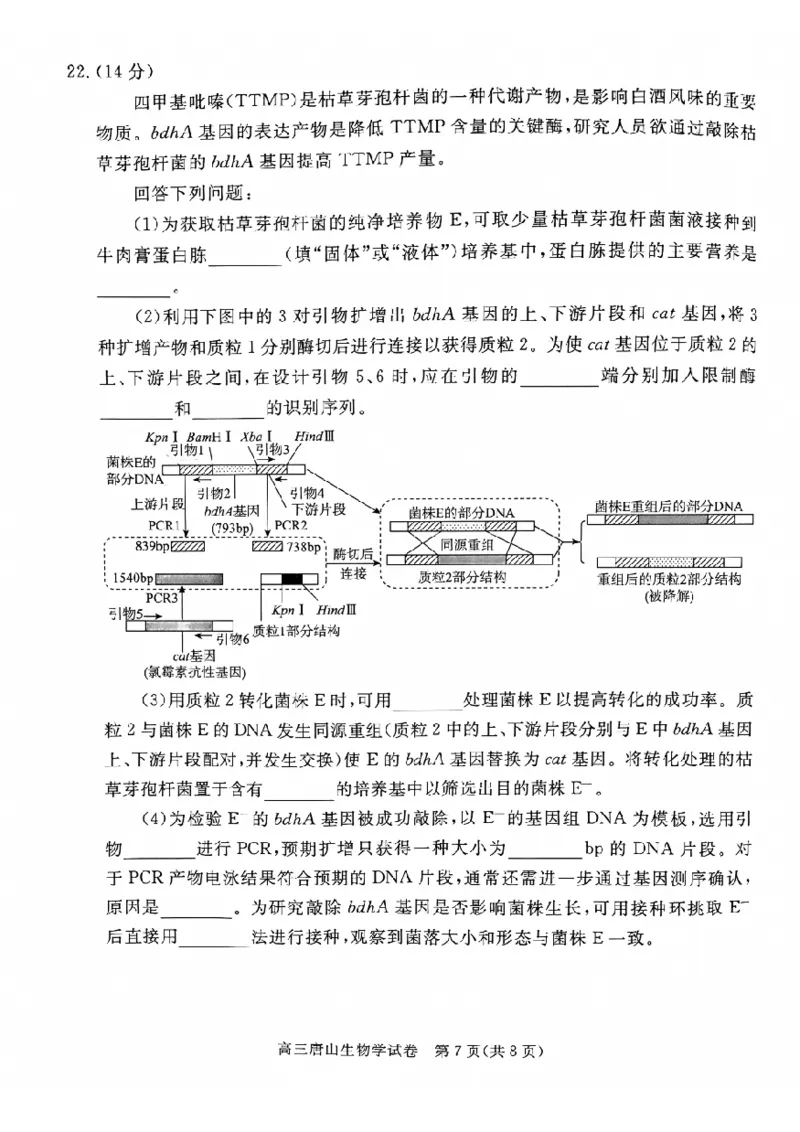 2025届河北省唐山市高三一模生物试题_2025年3月_250312河北省唐山市2025年普通高等院校招生第一次拟演练（唐山一模）（全科）_唐山市2025年普通高等院校招生第一次拟演练生物
