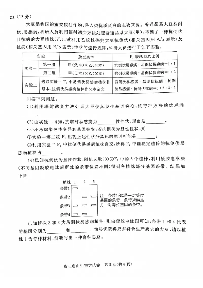 2025届河北省唐山市高三一模生物试题_2025年3月_250312河北省唐山市2025年普通高等院校招生第一次拟演练（唐山一模）（全科）_唐山市2025年普通高等院校招生第一次拟演练生物