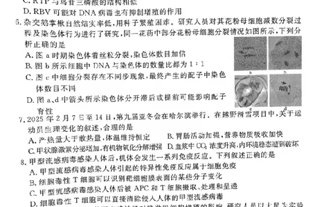 2025届河北省唐山市高三一模生物试题_2025年3月_250312河北省唐山市2025年普通高等院校招生第一次拟演练（唐山一模）（全科）_唐山市2025年普通高等院校招生第一次拟演练生物