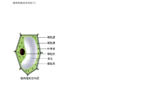 精品解析：山东省青岛市2020年中考生物试题（解析版）_中考真题_8.生物中考真题2015-2024年_2020生物真题74份_2020年中考真题解析生物(山东青岛卷)精编word版