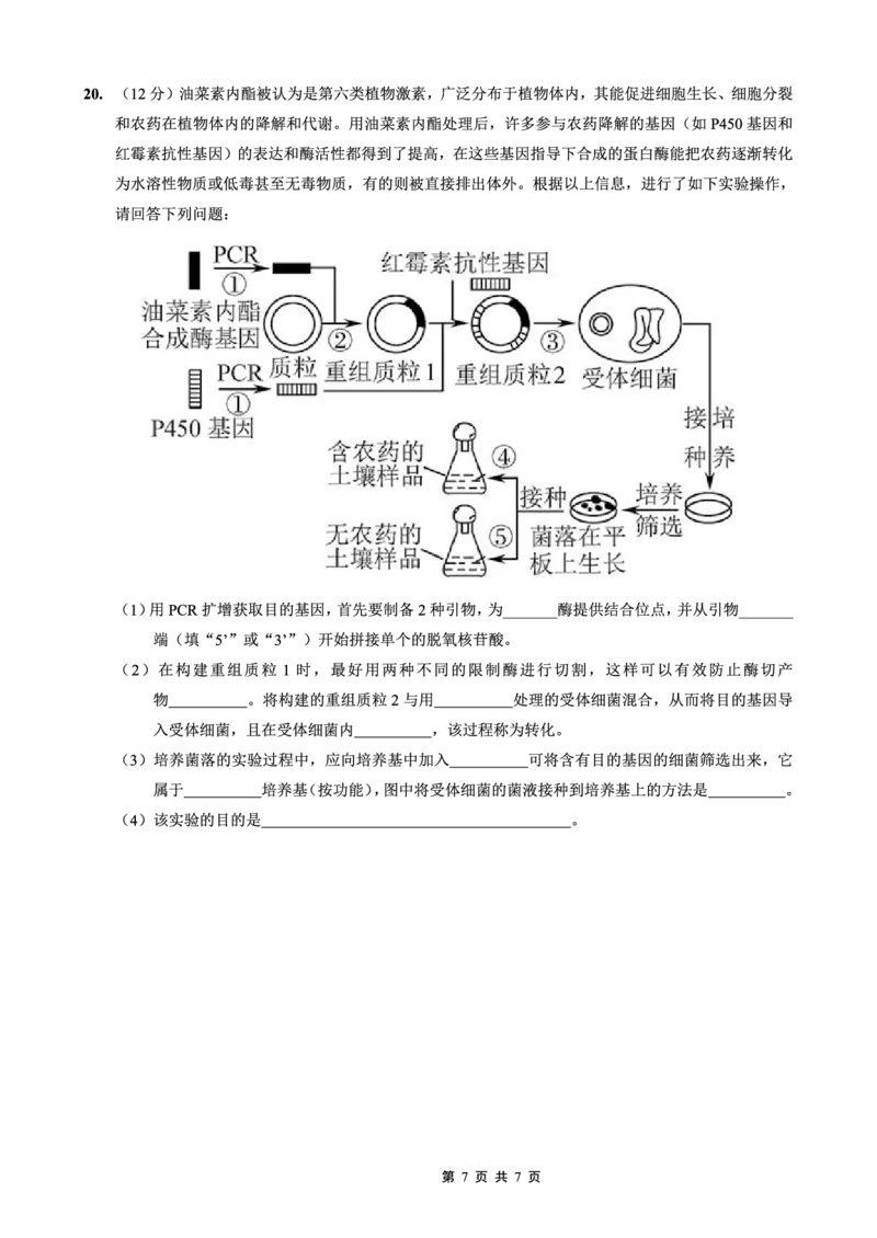 2025-2026学年度（上）高2026届9月月考生物_2025年9月_250920重庆实验外国语学校2025-2026学年度（上）高2026届9月月考（全科）_生物