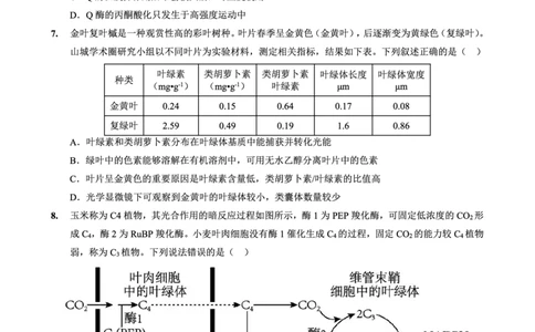 2025-2026学年度（上）高2026届9月月考生物_2025年9月_250920重庆实验外国语学校2025-2026学年度（上）高2026届9月月考（全科）_生物