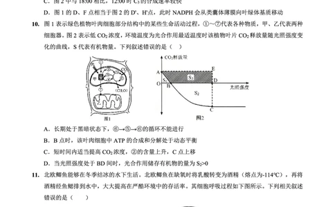2025-2026学年度（上）高2026届9月月考生物_2025年9月_250920重庆实验外国语学校2025-2026学年度（上）高2026届9月月考（全科）_生物