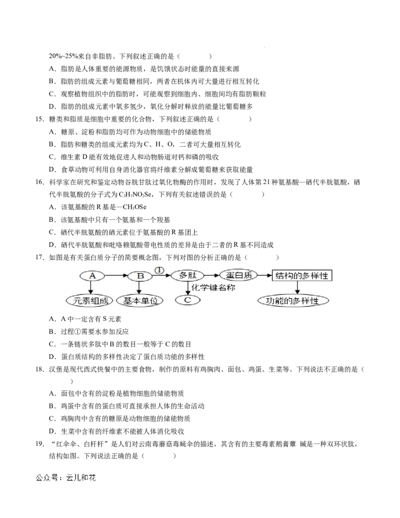 高一生物第一次月考卷01（A4考试版）测试范围：必修1第1~2章（新高考通用）_1多考区联考试卷