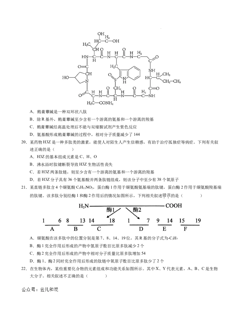 高一生物第一次月考卷01（A4考试版）测试范围：必修1第1~2章（新高考通用）_1多考区联考试卷