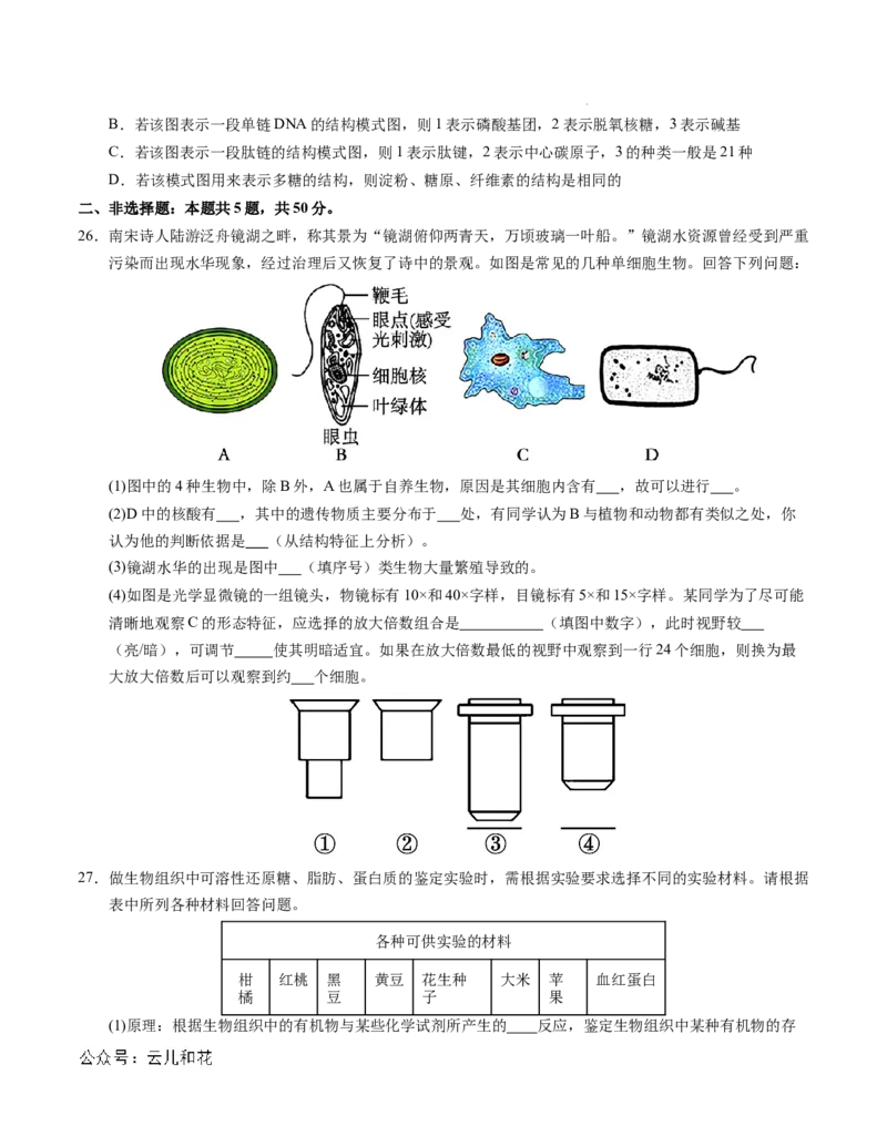高一生物第一次月考卷01（A4考试版）测试范围：必修1第1~2章（新高考通用）_1多考区联考试卷