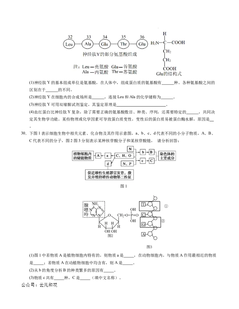 高一生物第一次月考卷01（A4考试版）测试范围：必修1第1~2章（新高考通用）_1多考区联考试卷