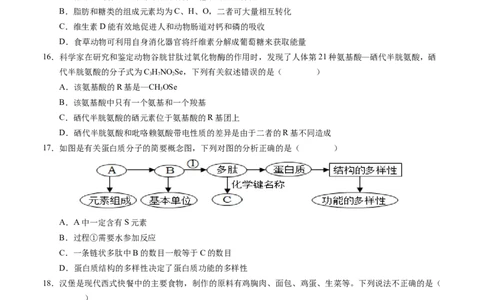 高一生物第一次月考卷01（A4考试版）测试范围：必修1第1~2章（新高考通用）_1多考区联考试卷
