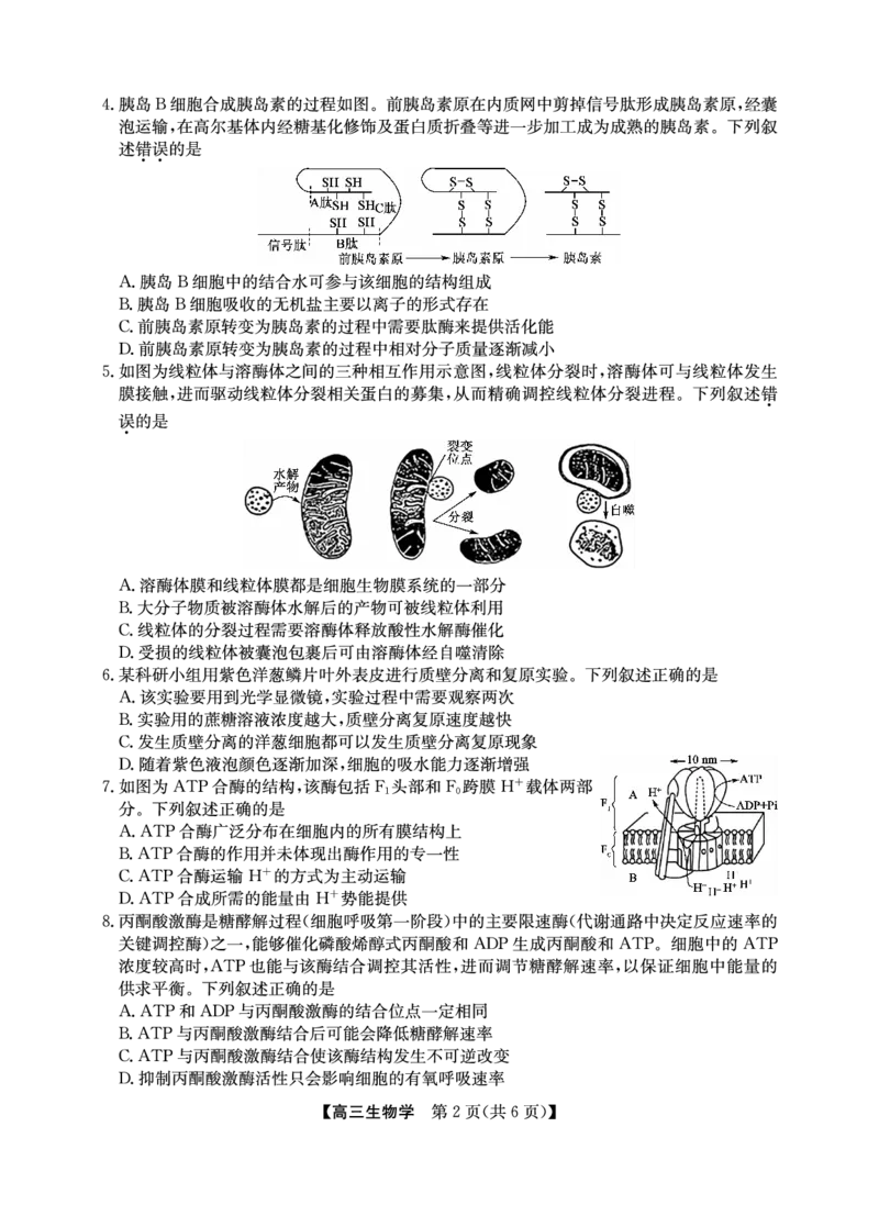 2025年&ldquo;江南十校&rdquo;新高三第一次综合素质检测生物_2025年10月_251012安徽省2025年&ldquo;江南十校&rdquo;新高三第一次综合素质检测（全科）