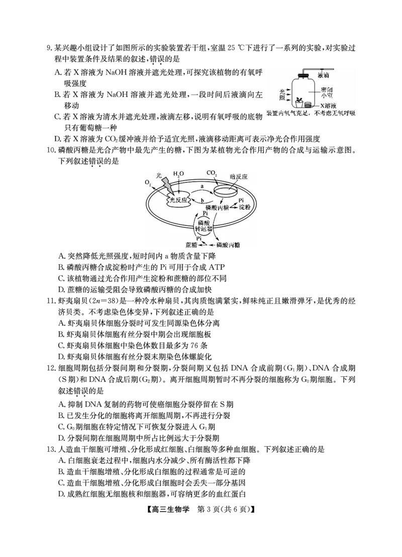 2025年&ldquo;江南十校&rdquo;新高三第一次综合素质检测生物_2025年10月_251012安徽省2025年&ldquo;江南十校&rdquo;新高三第一次综合素质检测（全科）