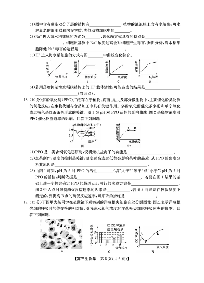 2025年&ldquo;江南十校&rdquo;新高三第一次综合素质检测生物_2025年10月_251012安徽省2025年&ldquo;江南十校&rdquo;新高三第一次综合素质检测（全科）