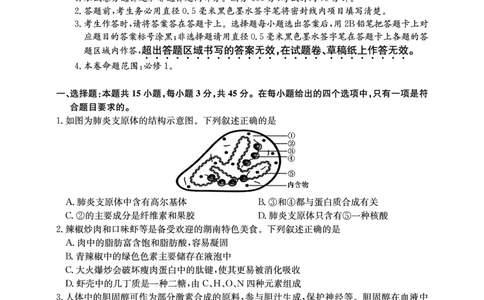 2025年&ldquo;江南十校&rdquo;新高三第一次综合素质检测生物_2025年10月_251012安徽省2025年&ldquo;江南十校&rdquo;新高三第一次综合素质检测（全科）