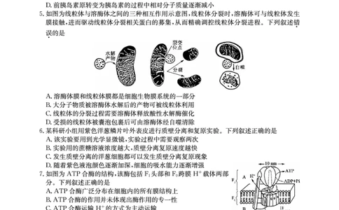 2025年&ldquo;江南十校&rdquo;新高三第一次综合素质检测生物_2025年10月_251012安徽省2025年&ldquo;江南十校&rdquo;新高三第一次综合素质检测（全科）