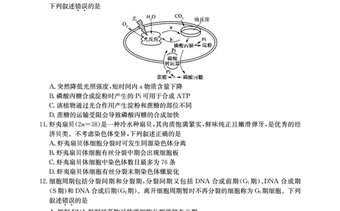 2025年&ldquo;江南十校&rdquo;新高三第一次综合素质检测生物_2025年10月_251012安徽省2025年&ldquo;江南十校&rdquo;新高三第一次综合素质检测（全科）