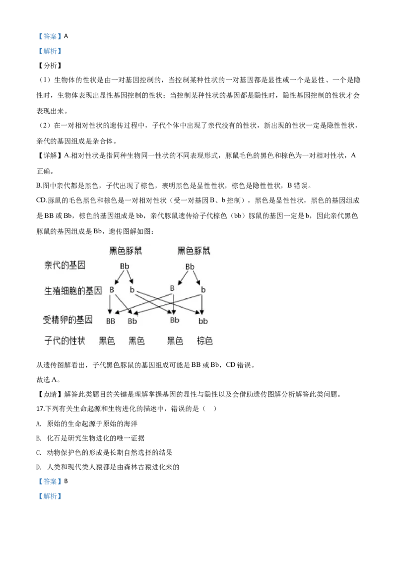 精品解析：河南省2020年中考生物试题（解析版）_中考真题_8.生物中考真题2015-2024年_2020生物真题74份_2020年中考真题精品解析生物（河南卷）精编word版