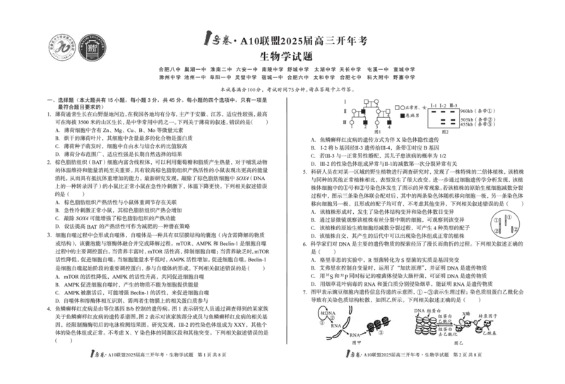 [8开]1号卷&middot;A10联盟2025届高三开年考生物学_2025年2月_250209安徽A10联盟2025届高三开年考（全科）_1号卷&middot;A10联盟2025届高三开年考生物