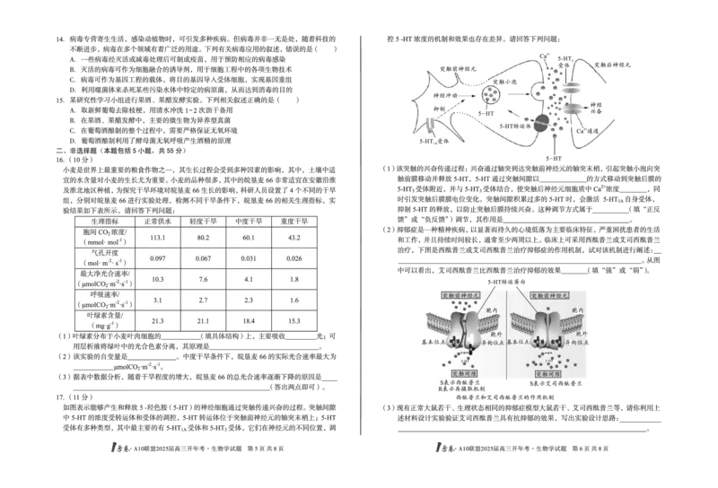 [8开]1号卷&middot;A10联盟2025届高三开年考生物学_2025年2月_250209安徽A10联盟2025届高三开年考（全科）_1号卷&middot;A10联盟2025届高三开年考生物