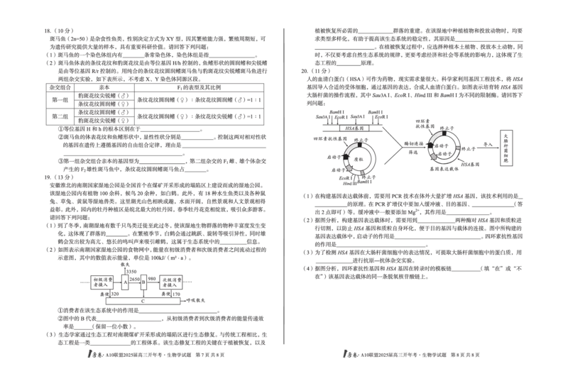 [8开]1号卷&middot;A10联盟2025届高三开年考生物学_2025年2月_250209安徽A10联盟2025届高三开年考（全科）_1号卷&middot;A10联盟2025届高三开年考生物