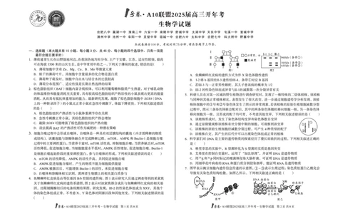[8开]1号卷&middot;A10联盟2025届高三开年考生物学_2025年2月_250209安徽A10联盟2025届高三开年考（全科）_1号卷&middot;A10联盟2025届高三开年考生物