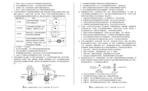 [8开]1号卷&middot;A10联盟2025届高三开年考生物学_2025年2月_250209安徽A10联盟2025届高三开年考（全科）_1号卷&middot;A10联盟2025届高三开年考生物