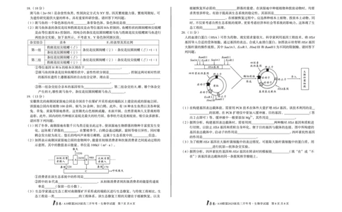 [8开]1号卷&middot;A10联盟2025届高三开年考生物学_2025年2月_250209安徽A10联盟2025届高三开年考（全科）_1号卷&middot;A10联盟2025届高三开年考生物
