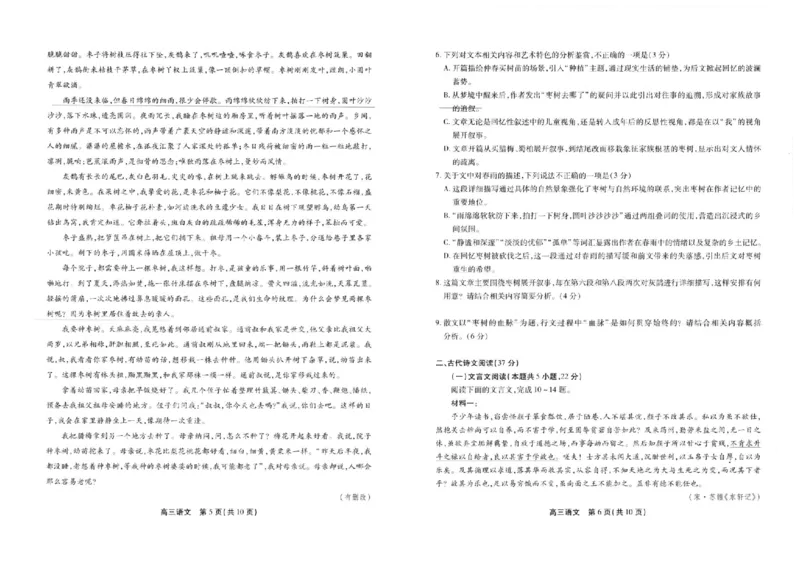 2025届安徽省高三下学期鼎尖预测大联考语文试卷_2025年5月_2505132025届安徽省鼎尖名校联盟高三5月预测联考（全科）