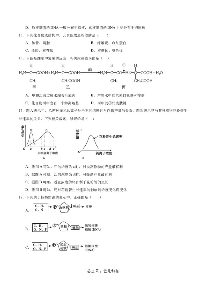 高一生物第一次月考卷（新八省通用）（考试版A4）测试范围：必修1第1-2章（人教版2019）_1多考区联考试卷