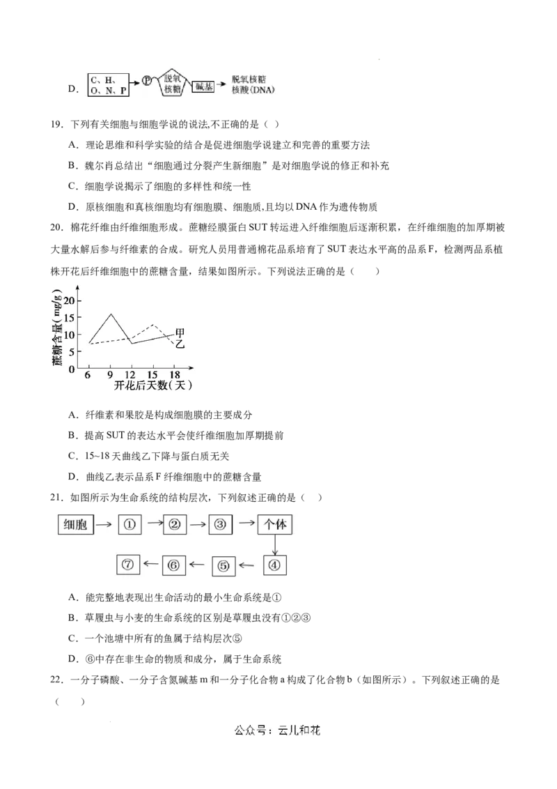 高一生物第一次月考卷（新八省通用）（考试版A4）测试范围：必修1第1-2章（人教版2019）_1多考区联考试卷